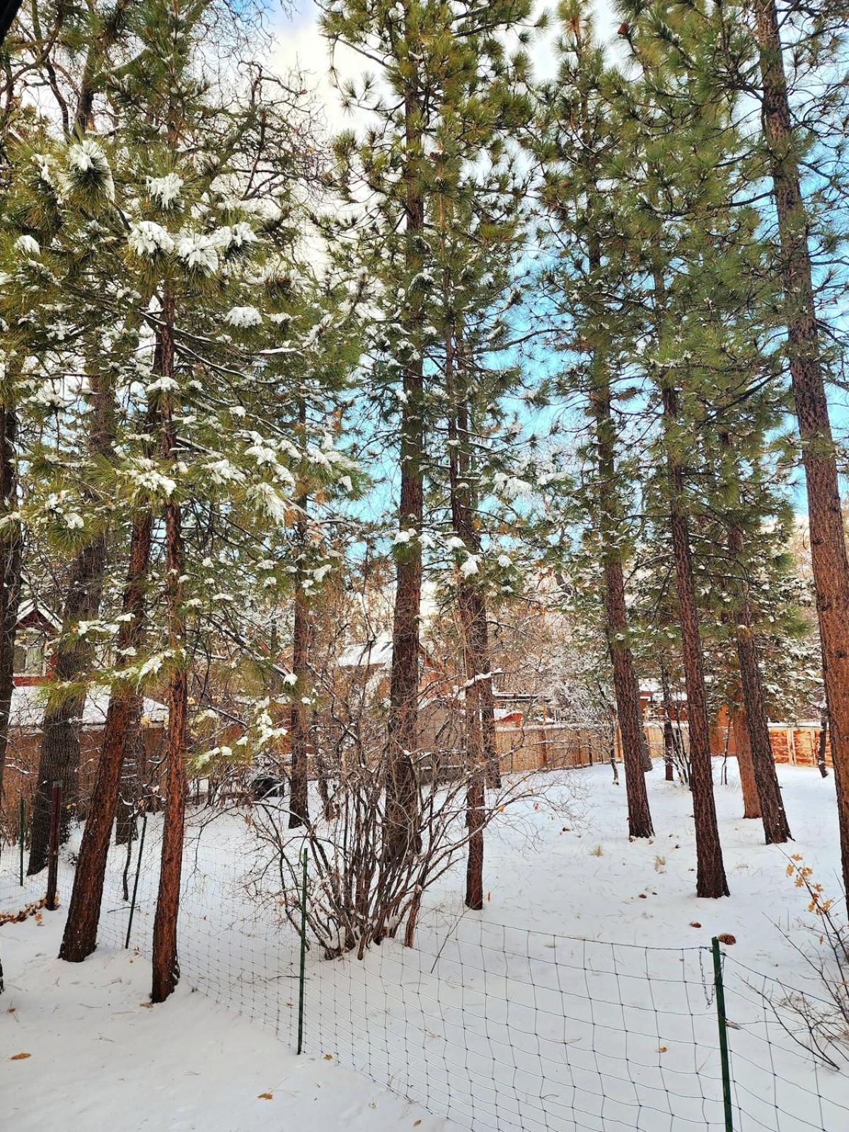 Bear Escapes II Affordable Luxury Cabin Sugarloaf 외부 사진